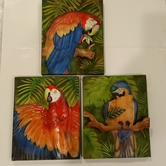 Three tin parakeet.